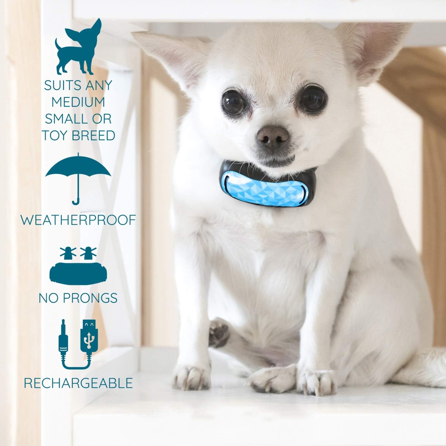 GoodBoy Small Rechargeable Dog Bark Collar for Tiny to Medium Dogs Weatherproof and Vibrating Anti Bark Training Device That is Smallest & Most Safe On  - No Shock No Spiky Prongs! (6+ lbs)